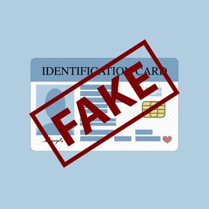 The Business of Fake IDs